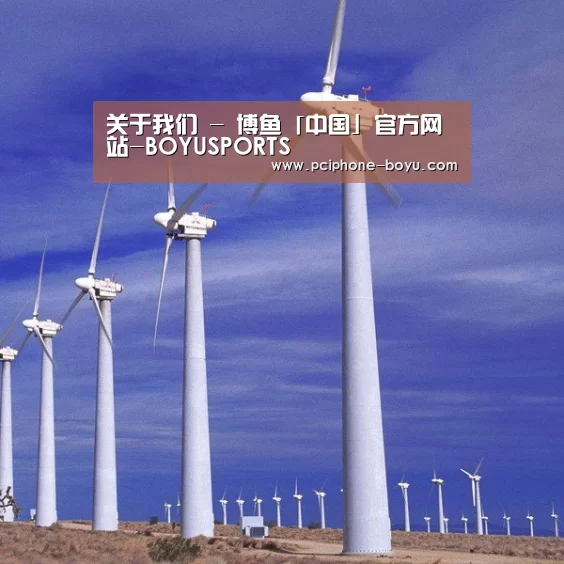 风能