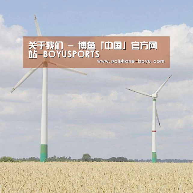 风能