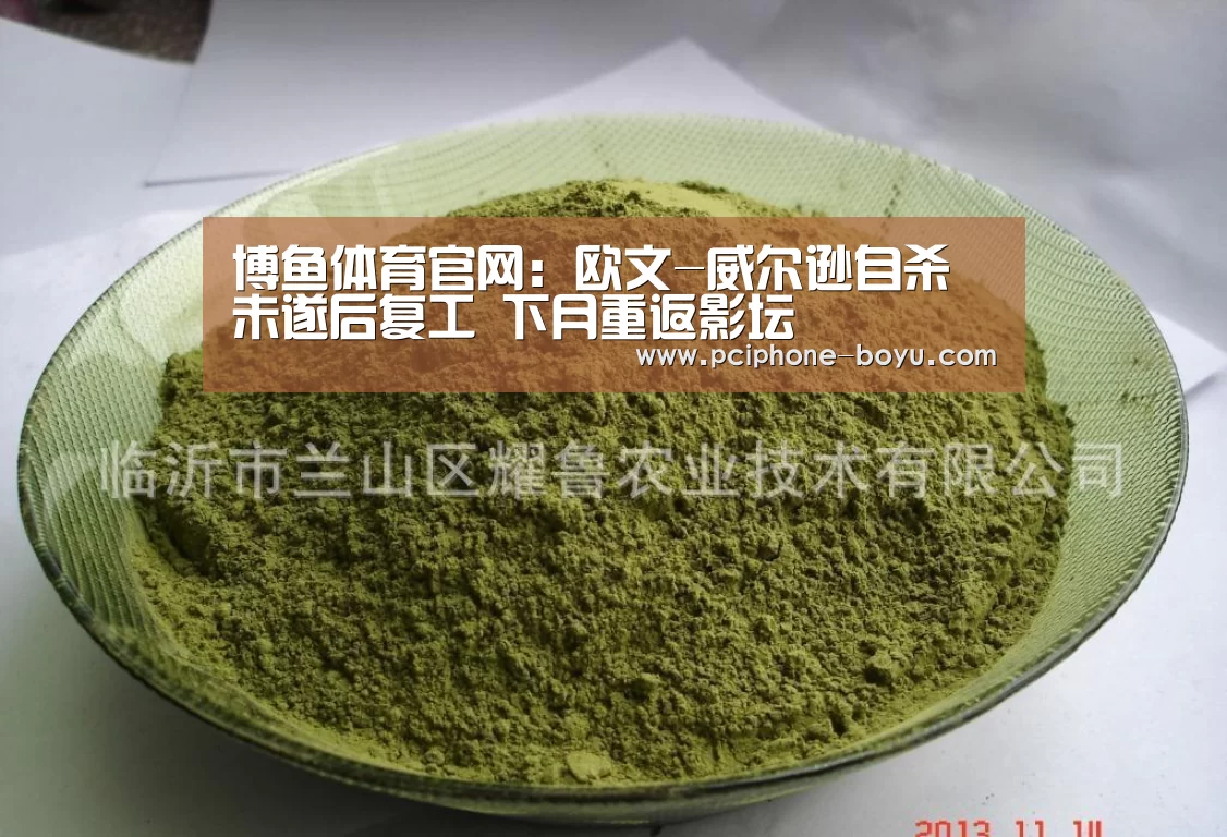 博鱼体育官网:欧文-威尔逊自杀未遂后复工 下月重返影坛(图4) 博鱼体育官网