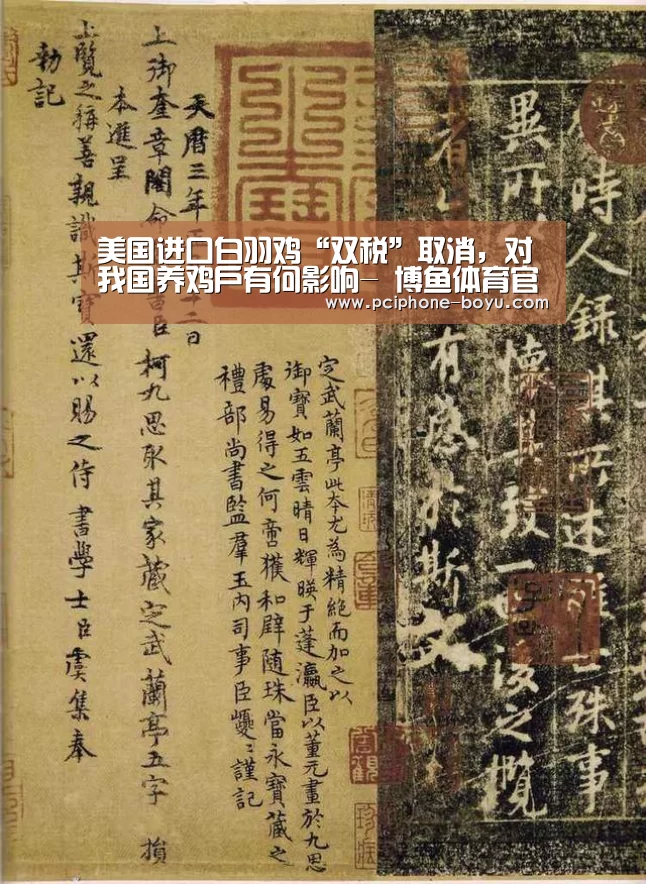  博鱼体育平台
