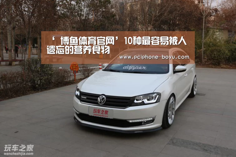 ‘ 博鱼体育官网’10种最容易被人遗忘的营养食物(图1) 博鱼官方网站入口