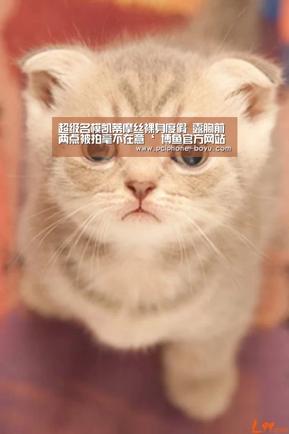超级名模凯蒂摩丝裸身度假 露胸前两点被拍毫不在意‘ 博鱼官方网站入口’(图1) 博鱼体育平台
