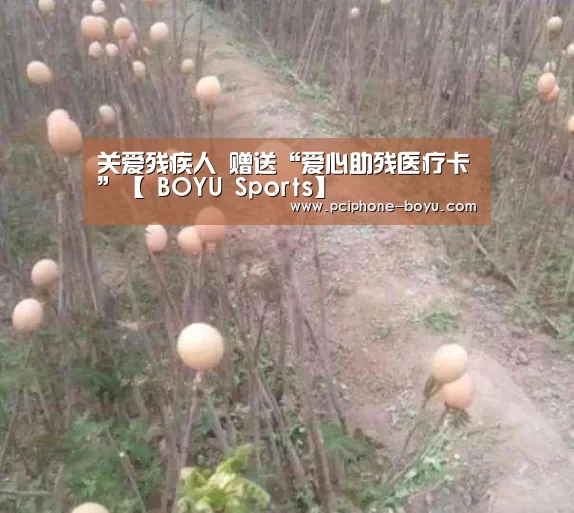 关爱残疾人 赠送“爱心助残医疗卡”【 BOYU Sports】(图3) BOYU Sports