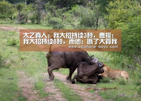 博鱼体育