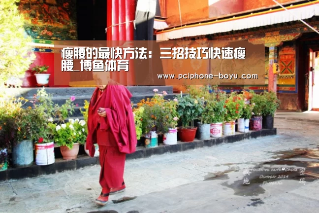  博鱼体育官网